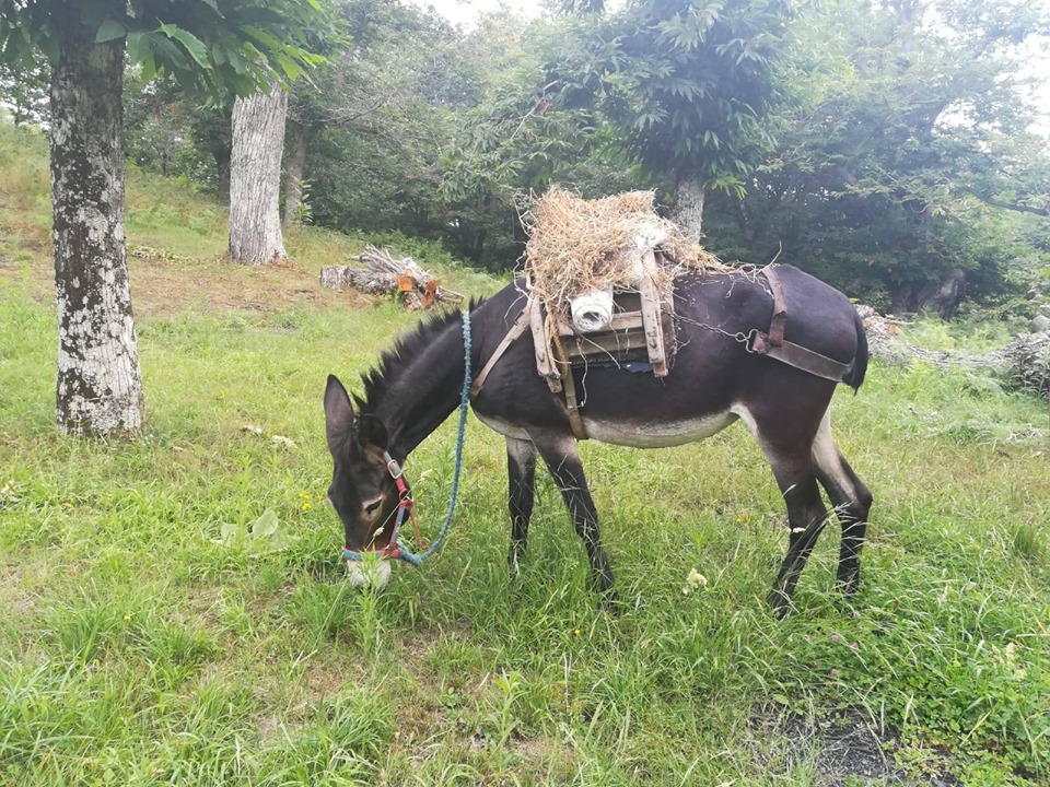 Mandia, ripartono le attività di ‘Rareca Village’