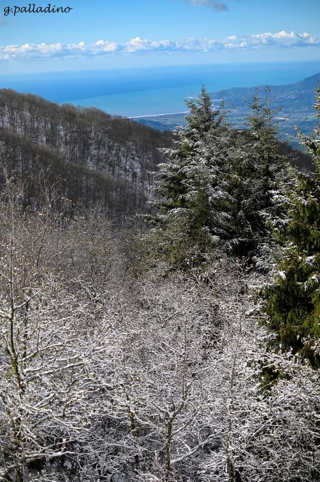 Monte Gelbison, neve 2021 (foto G. Palladino)