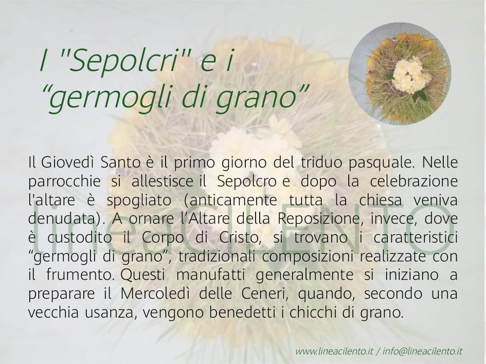 Germogli di Grano: i Sepolcri